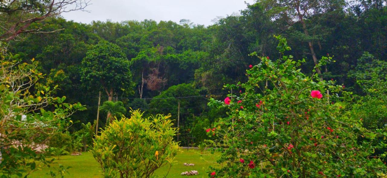 Dan Zoranz Self Catering Guest House Insel Insel La Digue Exterior foto